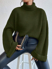 Cozy Chic Turtleneck Sweater
